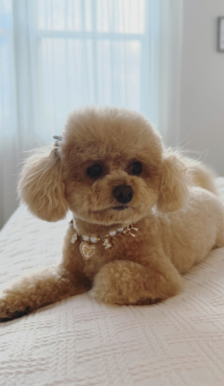 Honey